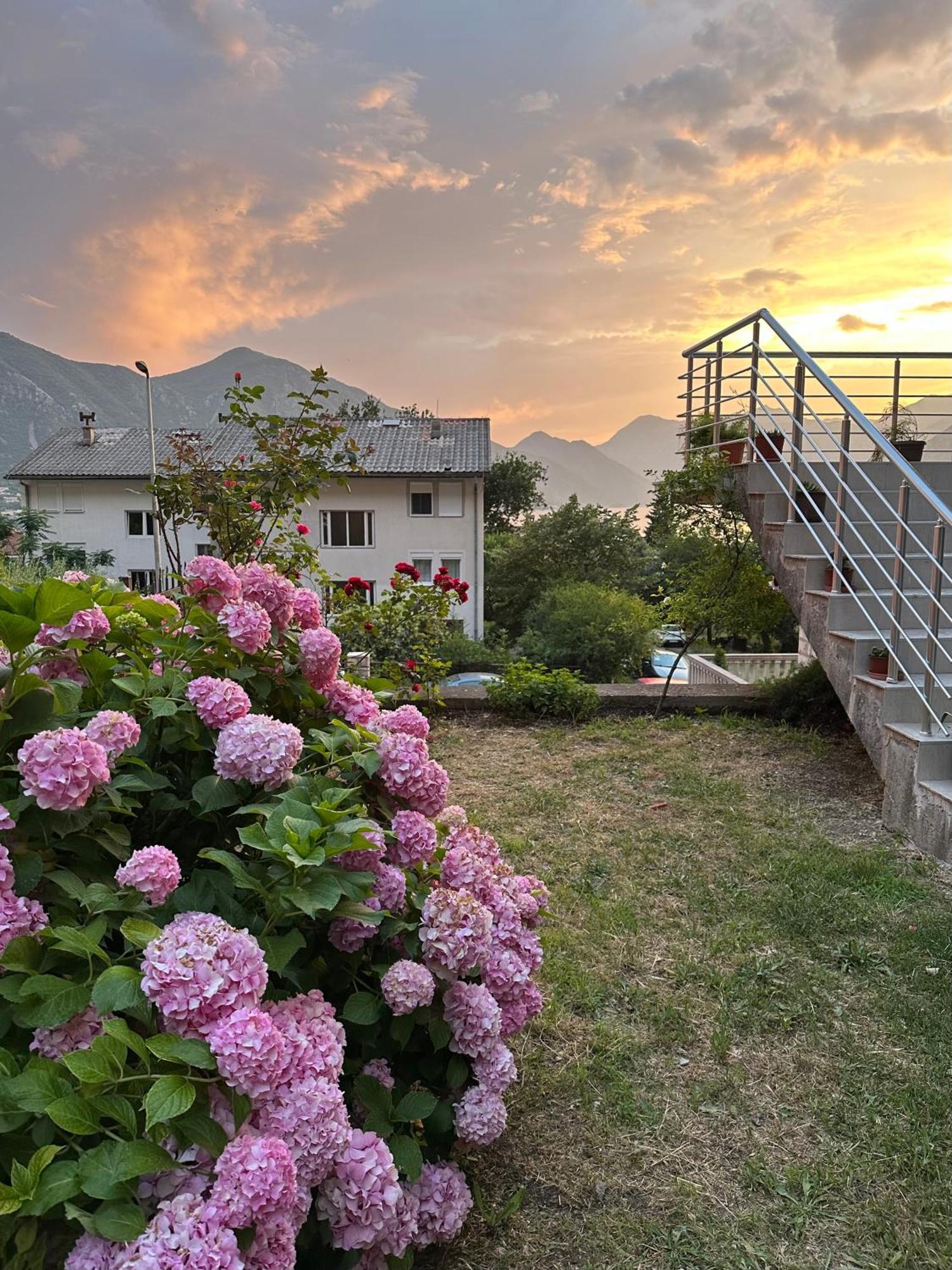 Sunny Apartment Котор Экстерьер фото